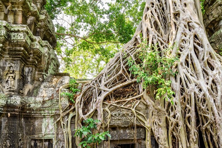 Erkunden Sie die prächtigen Tempel von Angkor Wat, einschließlich Sonnenaufgangs- und Sonnenuntergangsblicken, mit einer geführten Tour in Siem Reap, Foto 21 | wizardtrip