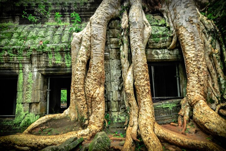 Soluppgångstur vid Angkor Wat och omgivande tempel i Siem Reap, Kambodja, foto 23 | wizardtrip