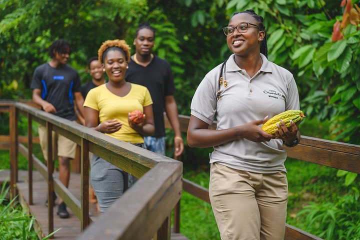 Experience the 'Tree to Bar' chocolate tour at Hotel Chocolat in Saint Lucia, from cacao groves to chocolate making, photo 6 | wizardtrip