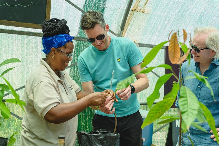 Experience the 'Tree to Bar' chocolate tour at Hotel Chocolat in Saint Lucia, from cacao groves to chocolate making, photo 9 | wizardtrip