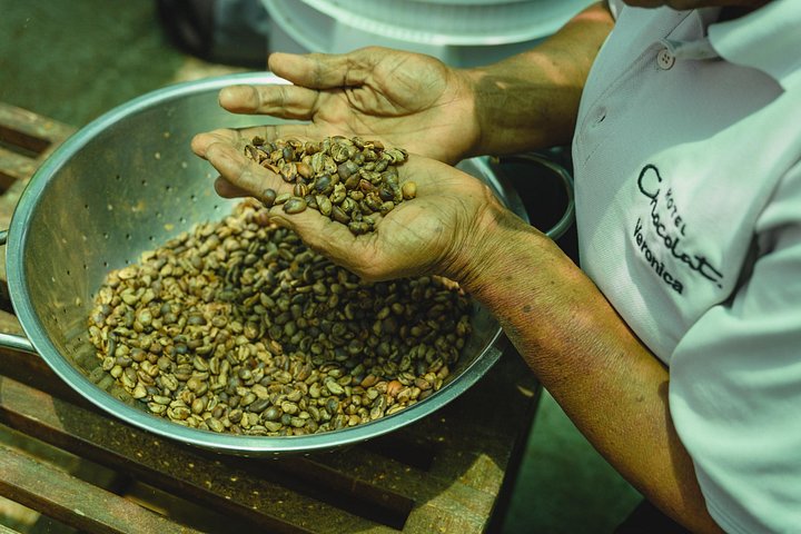 Experience the 'Tree to Bar' chocolate tour at Hotel Chocolat in Saint Lucia, from cacao groves to chocolate making, photo 11 | wizardtrip