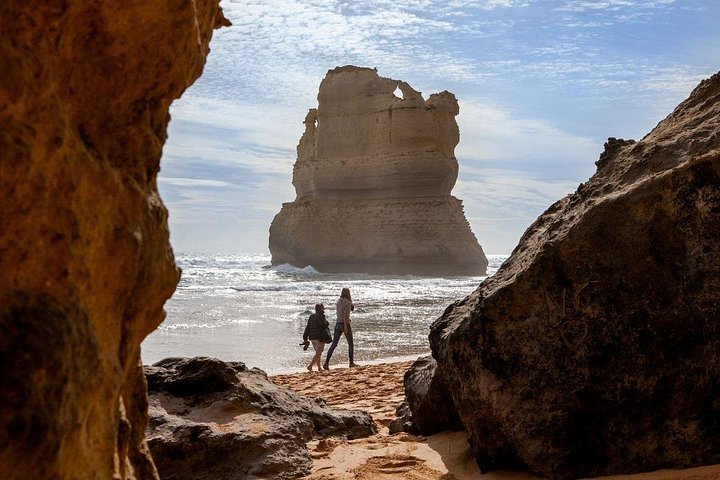 Naturskön ekotur i liten grupp längs Australiens Great Ocean Road från Melbourne, med kustutsikt och vilda djur, foto 12 | wizardtrip