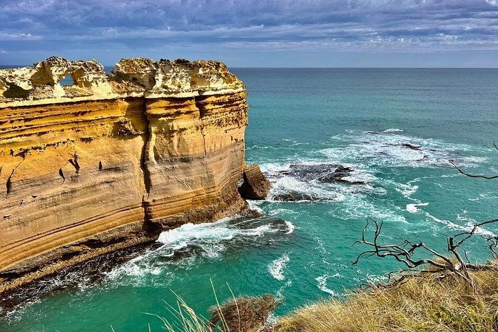 Naturskön ekotur i liten grupp längs Australiens Great Ocean Road från Melbourne, med kustutsikt och vilda djur, foto 14 | wizardtrip