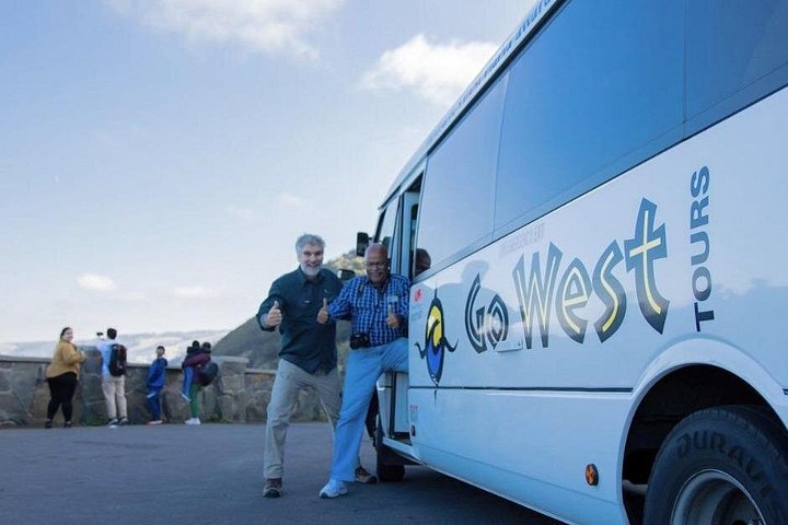Naturskön ekotur i liten grupp längs Australiens Great Ocean Road från Melbourne, med kustutsikt och vilda djur, foto 15 | wizardtrip
