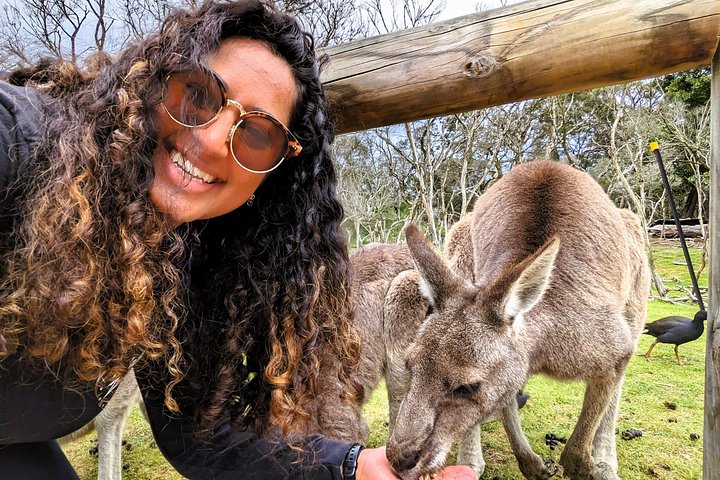 Dagstur til Phillip Island fra Melbourne for at se Pingvinparaden og australsk dyreliv, foto 7 | wizardtrip