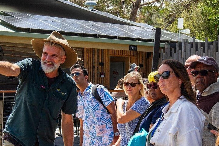 Dagstur til Phillip Island fra Melbourne for at se Pingvinparaden og australsk dyreliv, foto 9 | wizardtrip