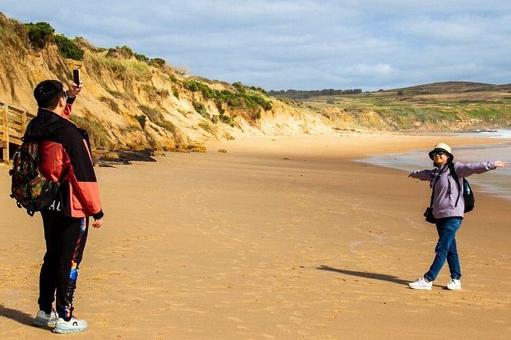 Dagstur til Phillip Island fra Melbourne for at se Pingvinparaden og australsk dyreliv, foto 11 | wizardtrip