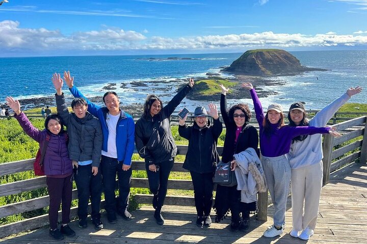 Dagstur til Phillip Island fra Melbourne for at se Pingvinparaden og australsk dyreliv, foto 12 | wizardtrip