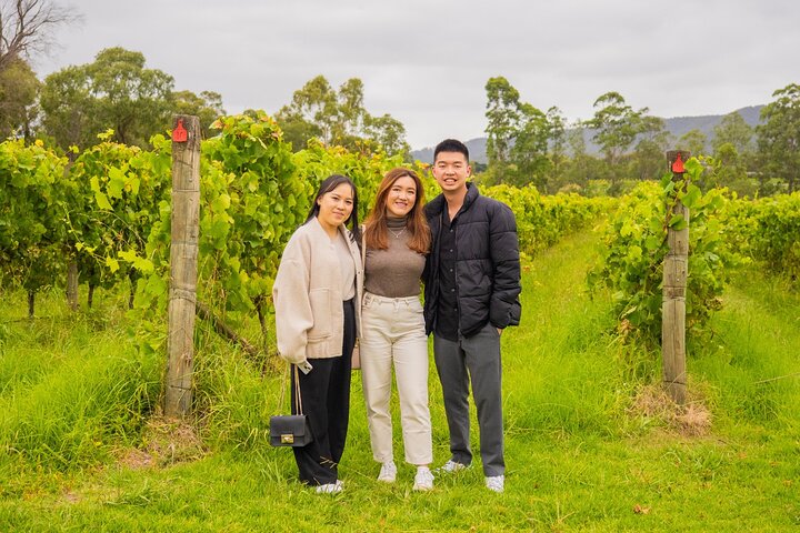 Eine malerische Tour durch das Yarra Valley mit Weinprobe, Käseplatten, Gin, Pizza und Schokolade, Foto 6 | wizardtrip