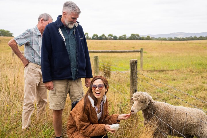 Eine malerische Tour durch das Yarra Valley mit Weinprobe, Käseplatten, Gin, Pizza und Schokolade, Foto 9 | wizardtrip