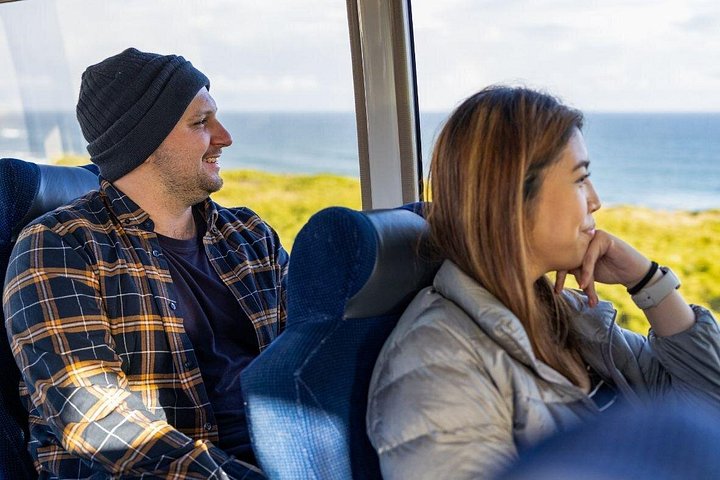 Viste panoramiche della Great Ocean Road, dei Dodici Apostoli e dei paesaggi costieri in un tour al tramonto da Melbourne, foto 9 | wizardtrip