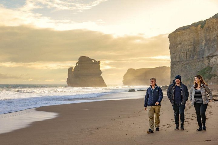 Viste panoramiche della Great Ocean Road, dei Dodici Apostoli e dei paesaggi costieri in un tour al tramonto da Melbourne, foto 10 | wizardtrip