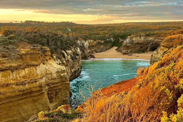 Viste panoramiche della Great Ocean Road, dei Dodici Apostoli e dei paesaggi costieri in un tour al tramonto da Melbourne, foto 12 | wizardtrip