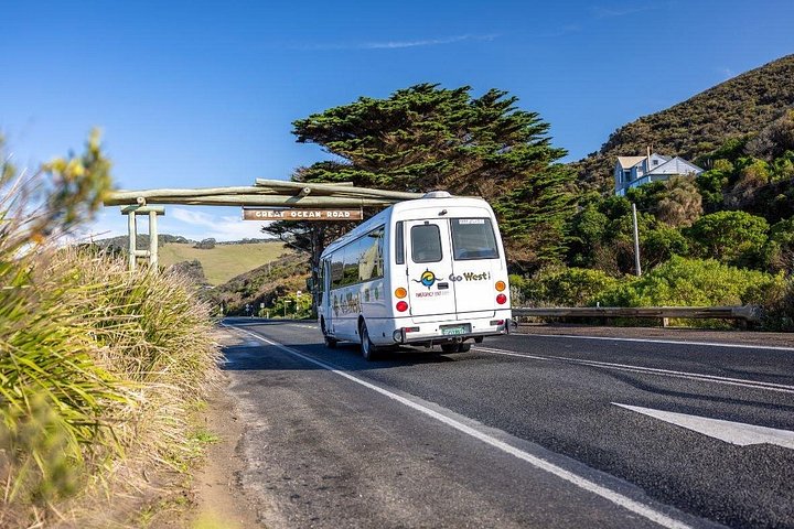 Viste panoramiche della Great Ocean Road, dei Dodici Apostoli e dei paesaggi costieri in un tour al tramonto da Melbourne, foto 16 | wizardtrip