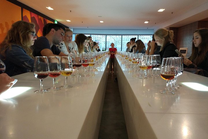 Esplora il patrimonio del vino Porto di Porto con degustazioni e tour delle cantine, foto 7 | wizardtrip