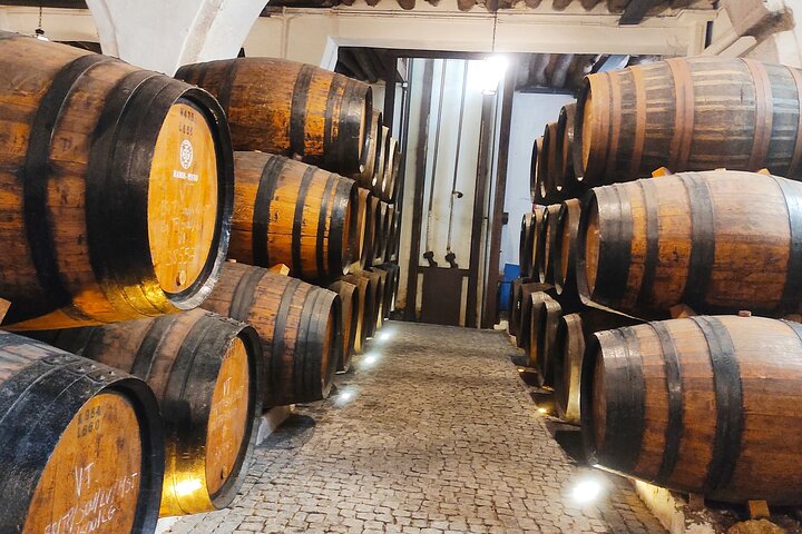 Esplora il patrimonio del vino Porto di Porto con degustazioni e tour delle cantine, foto 10 | wizardtrip
