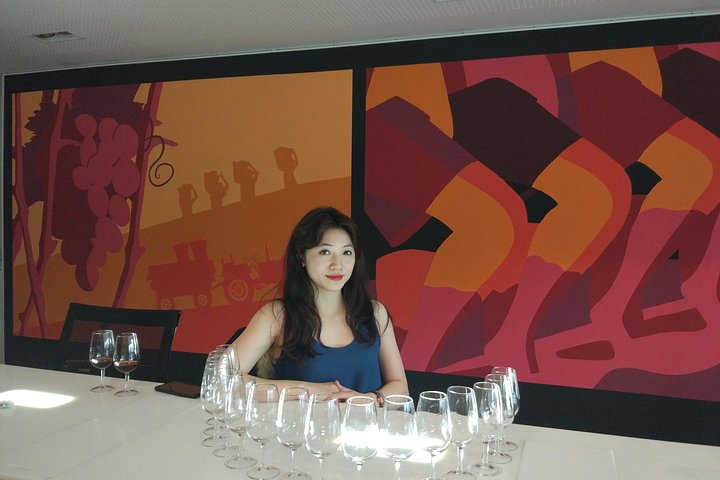 Esplora il patrimonio del vino Porto di Porto con degustazioni e tour delle cantine, foto 11 | wizardtrip