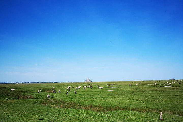 Excursion d'une journée partagée au Mont Saint-Michel depuis Bayeux, incluant la visite de l'abbaye et du village, photo 6 | wizardtrip
