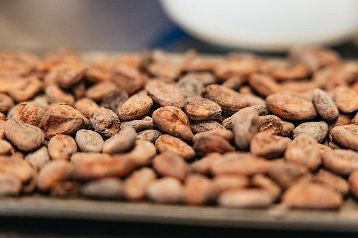 Praktisk belgisk chokladtillverkning i Bryssel, skapa praliner och chokladkakor, foto 16 | wizardtrip