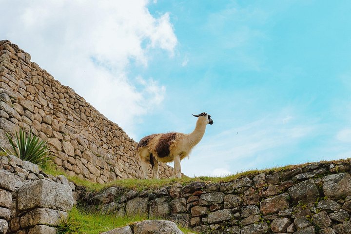Tour de 2 días desde Cusco al Valle Sagrado y Machu Picchu, con ruinas antiguas, pueblos tradicionales y viajes escénicos en tren, foto 24 | wizardtrip
