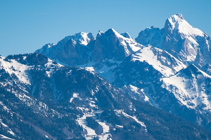 Gita panoramica sul fiume Snake con vista sui Grand Teton e sulla fauna selvatica, foto 6 | wizardtrip