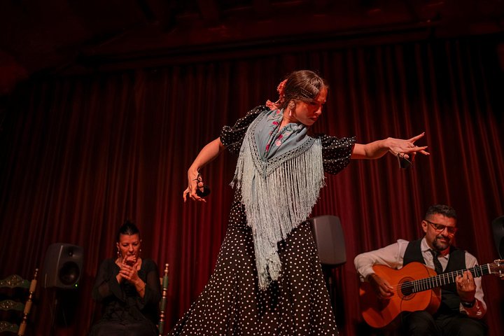 Passionerede flamenco dansere optræder i det historiske Dalmases Palads, Barcelona, foto 13 | wizardtrip