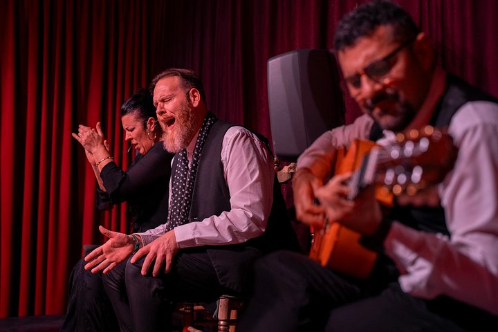 Passionerede flamenco dansere optræder i det historiske Dalmases Palads, Barcelona, foto 15 | wizardtrip
