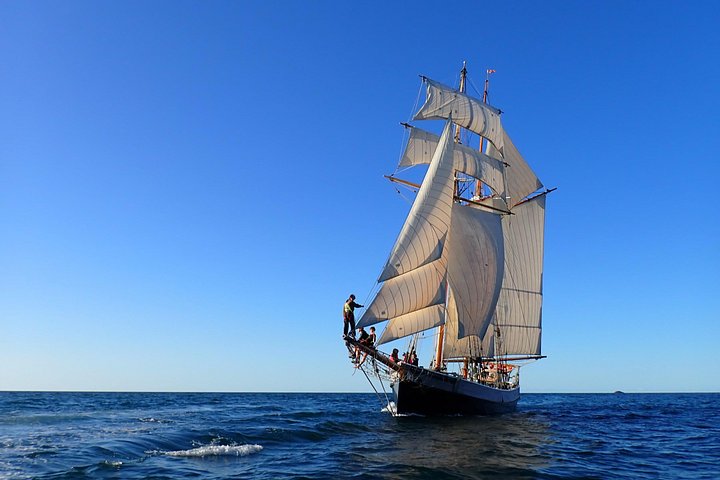 Bay of Islands Tall Ship Segeln auf der R. Tucker Thompson inkl. BBQ-Mittagessen | wizardtrip