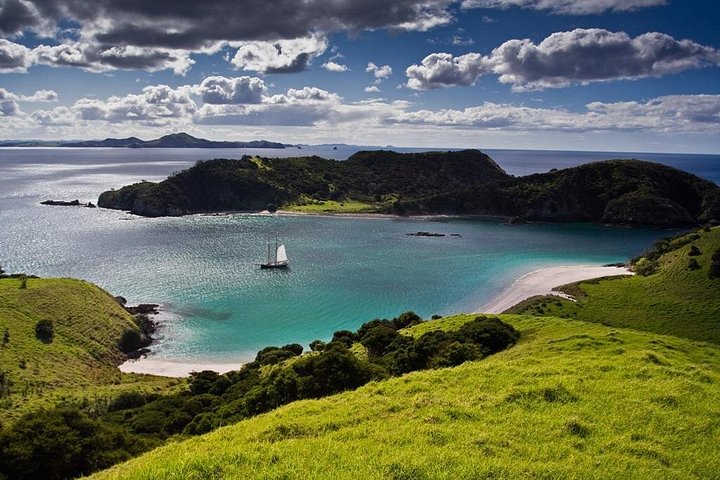 Großsegler-Segelabenteuer in der Bay of Islands, Neuseeland, inklusive Mittagessen, Foto 7 | wizardtrip