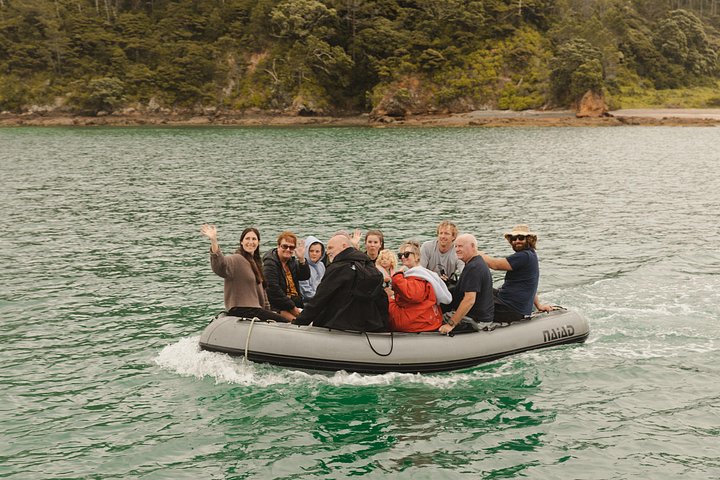 Großsegler-Segelabenteuer in der Bay of Islands, Neuseeland, inklusive Mittagessen, Foto 8 | wizardtrip