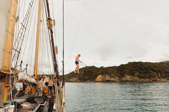 Großsegler-Segelabenteuer in der Bay of Islands, Neuseeland, inklusive Mittagessen, Foto 13 | wizardtrip