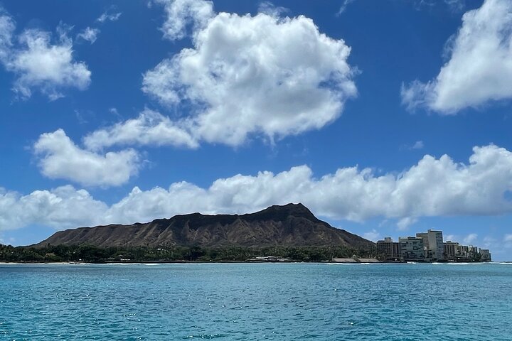 Snorkelavontuur in Waikiki, Oahu, met zeeschildpadden en tropische vissen, foto 9 | wizardtrip