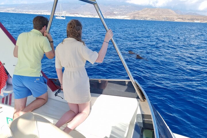 Miljövänlig yachttur på Teneriffa för val- och delfinskådning, med kustvyer och badmöjligheter, foto 7 | wizardtrip