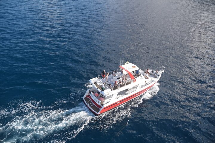 Miljövänlig yachttur på Teneriffa för val- och delfinskådning, med kustvyer och badmöjligheter, foto 9 | wizardtrip