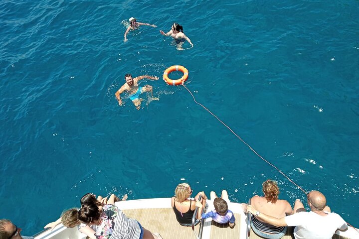 Miljövänlig yachttur på Teneriffa för val- och delfinskådning, med kustvyer och badmöjligheter, foto 11 | wizardtrip