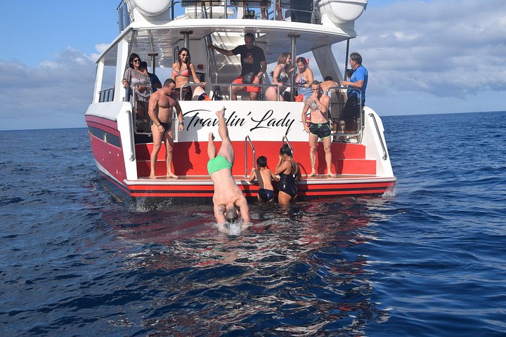 Miljövänlig yachttur på Teneriffa för val- och delfinskådning, med kustvyer och badmöjligheter, foto 14 | wizardtrip