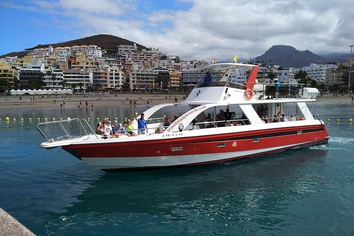 Miljövänlig yachttur på Teneriffa för val- och delfinskådning, med kustvyer och badmöjligheter, foto 15 | wizardtrip