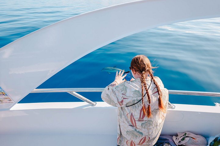 Miljövänlig yachttur på Teneriffa för val- och delfinskådning, med kustvyer och badmöjligheter, foto 30 | wizardtrip
