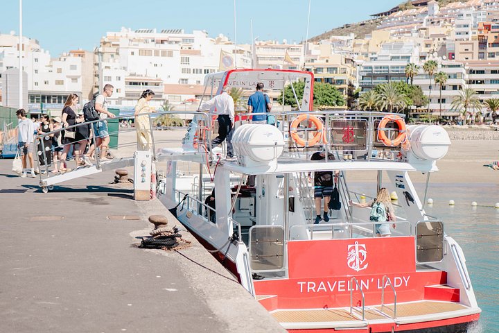 Miljövänlig yachttur på Teneriffa för val- och delfinskådning, med kustvyer och badmöjligheter, foto 31 | wizardtrip