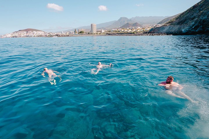 Miljövänlig yachttur på Teneriffa för val- och delfinskådning, med kustvyer och badmöjligheter, foto 35 | wizardtrip