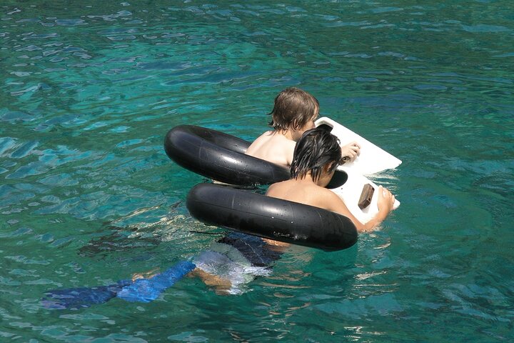 Afternoon snorkeling adventure in Kealakekua Bay, Big Island, Hawaii, featuring vibrant marine life and scenic coastal views, photo 7 | wizardtrip