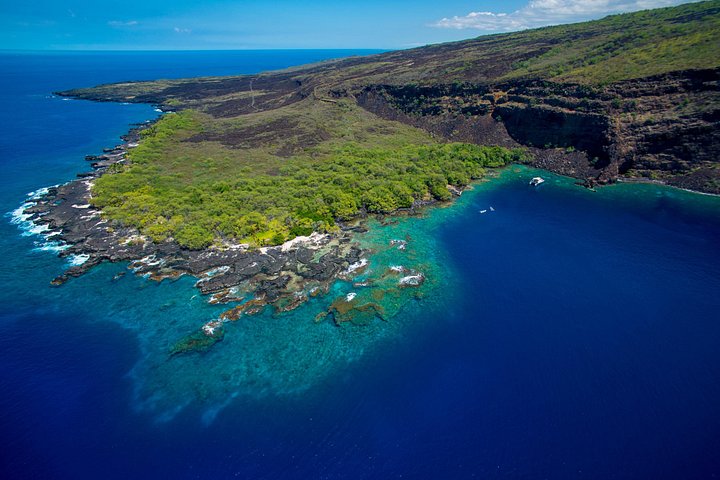 Afternoon snorkeling adventure in Kealakekua Bay, Big Island, Hawaii, featuring vibrant marine life and scenic coastal views, photo 8 | wizardtrip