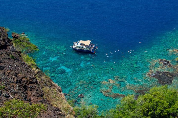 Kona's Bedste Morgensnorkel: Captain Cook & Kealakekua Bay | wizardtrip