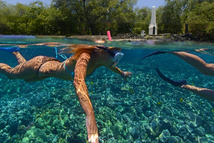 Morgensnorkeludflugt til Kealakekua Bay, Big Island, Hawaii, med marineliv og Captain Cook Monumentet, foto 6 | wizardtrip