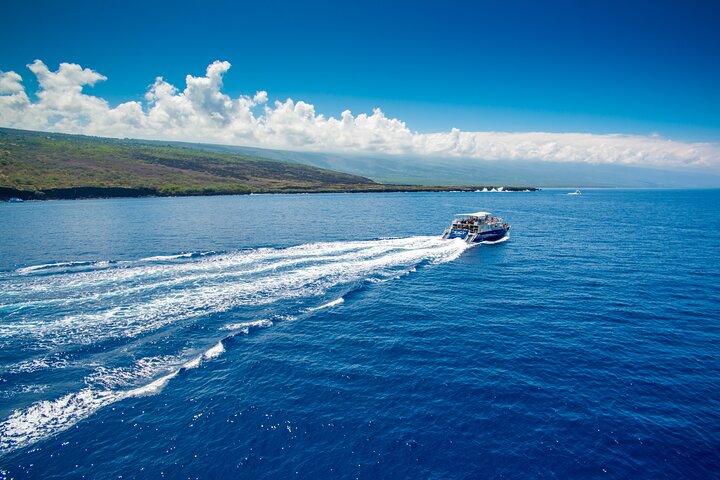Morgensnorkeludflugt til Kealakekua Bay, Big Island, Hawaii, med marineliv og Captain Cook Monumentet, foto 8 | wizardtrip