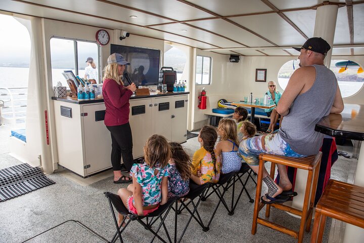 Morgensnorkeludflugt til Kealakekua Bay, Big Island, Hawaii, med marineliv og Captain Cook Monumentet, foto 14 | wizardtrip