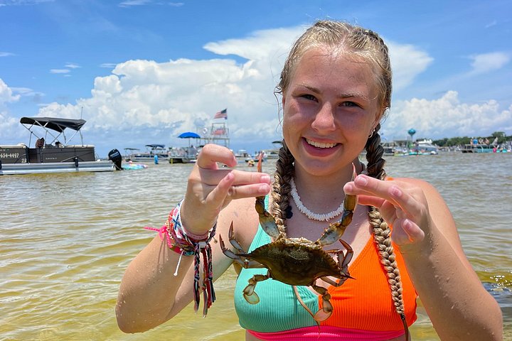 Goditi un tour in barca di 3 ore a Crab Island da Destin, con attività acquatiche e avvistamento di delfini, foto 9 | wizardtrip