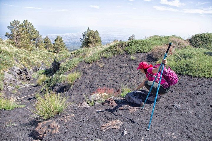 Passeio familiar explorando crateras, fluxos de lava e grutas do Etna, foto 6 | wizardtrip
