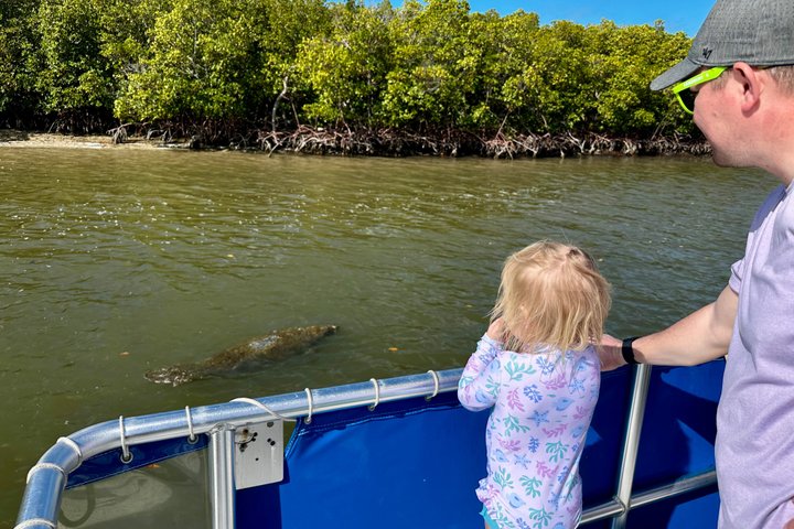 Croisière écologique vers Keewaydin Island pour observer les dauphins et ramasser des coquillages à Naples, Floride, photo 8 | wizardtrip