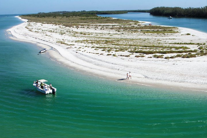 Croisière écologique vers Keewaydin Island pour observer les dauphins et ramasser des coquillages à Naples, Floride, photo 10 | wizardtrip
